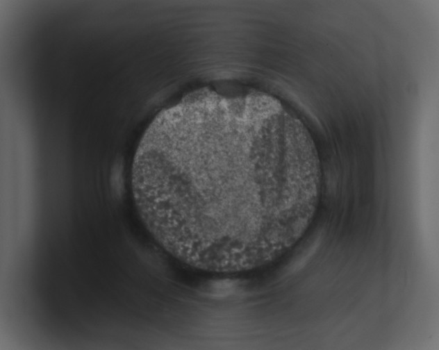 X0000100490216200807111129