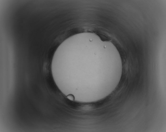 X0000100490218200807111129