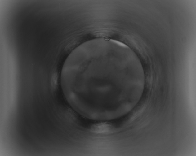 X0000100490219200807111129
