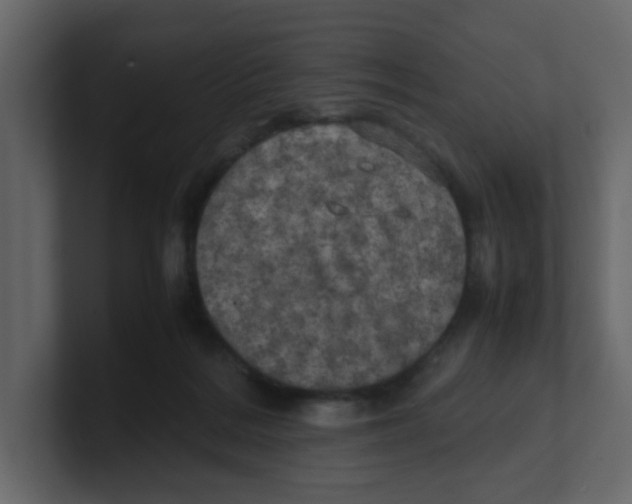 X0000100490220200807111129