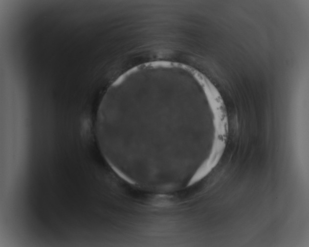 X0000100490222200807111129