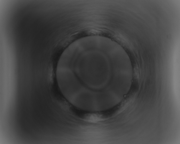 X0000100490223200807111129