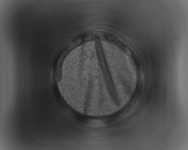X0000100490224200807111129