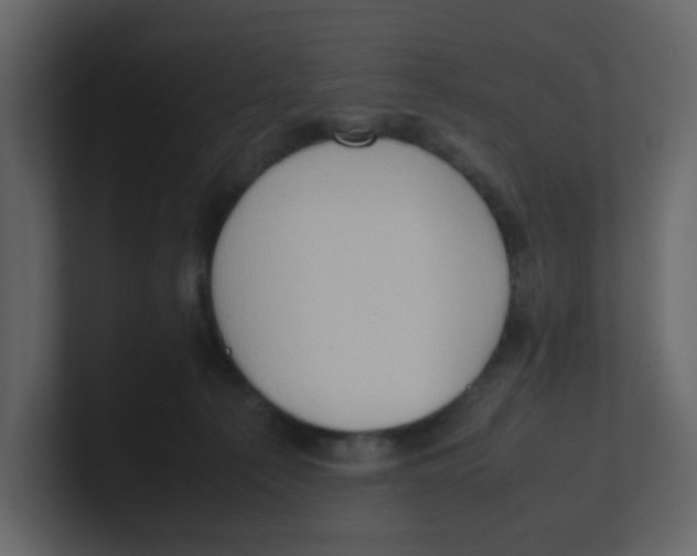 X0000100490225200807111129