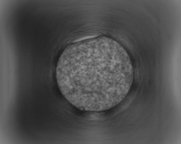 X0000100490229200807111129