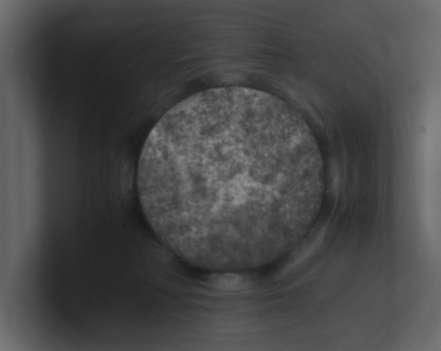 X0000100490230200807111129