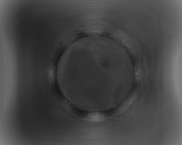 X0000100490231200807111129