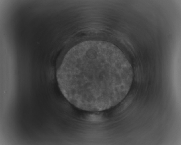 X0000100490232200807111129