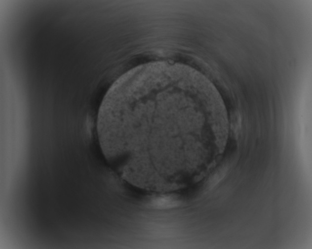 X0000100490235200807111129