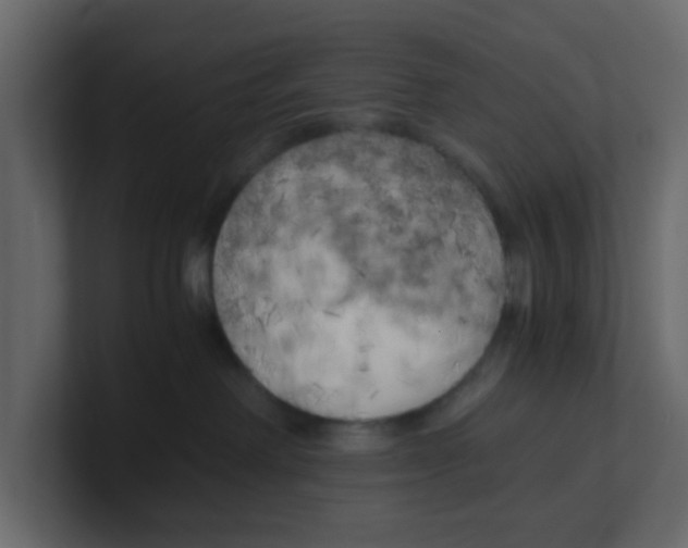 X0000100490238200807111129