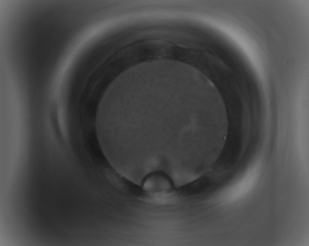 X0000100490239200807111129