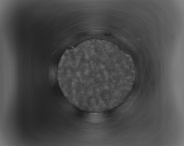 X0000100490240200807111129