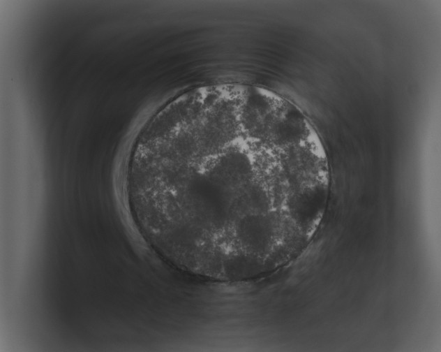 X0000100490241200807111128