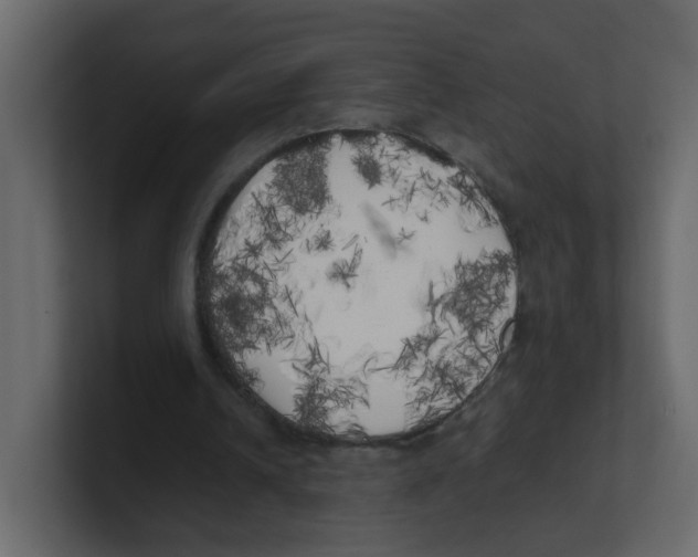 X0000100490242200807111128