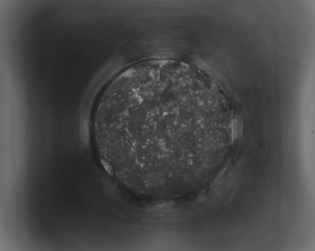 X0000100490243200807111128