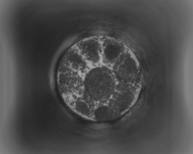 X0000100490245200807111128
