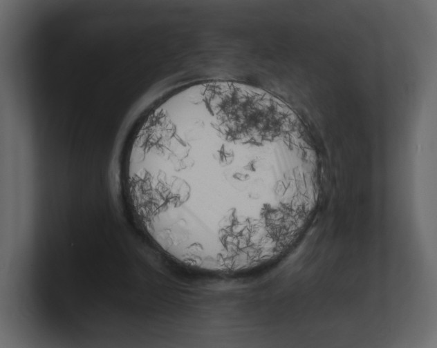 X0000100490246200807111128