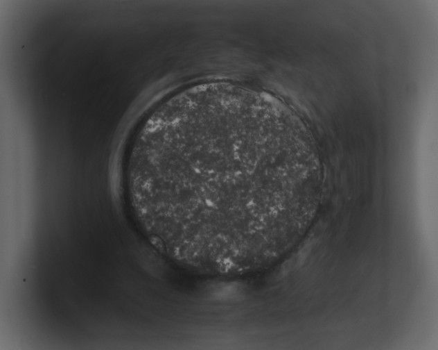 X0000100490247200807111128