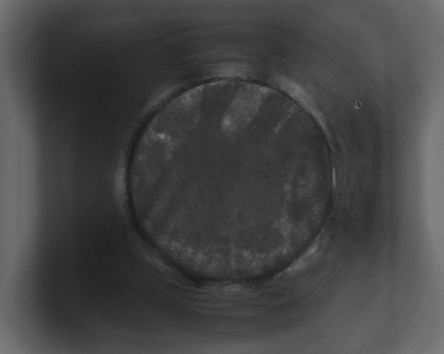 X0000100490249200807111128