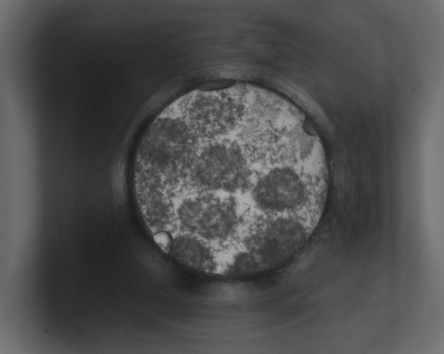 X0000100490250200807111128