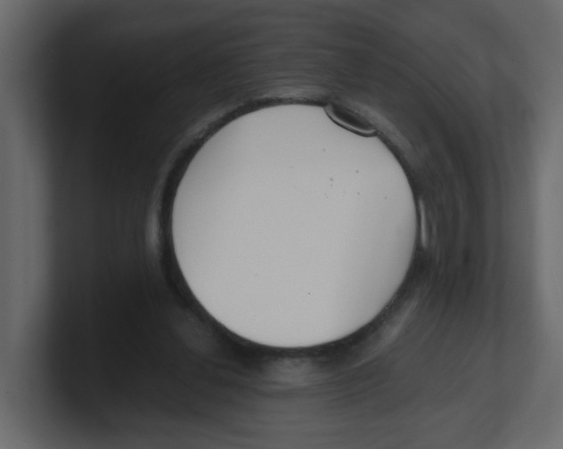 X0000100490252200807111128