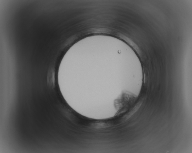 X0000100490253200807111128