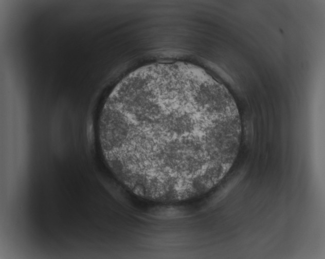 X0000100490254200807111128