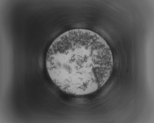 X0000100490255200807111128