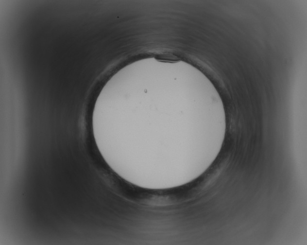 X0000100490256200807111128