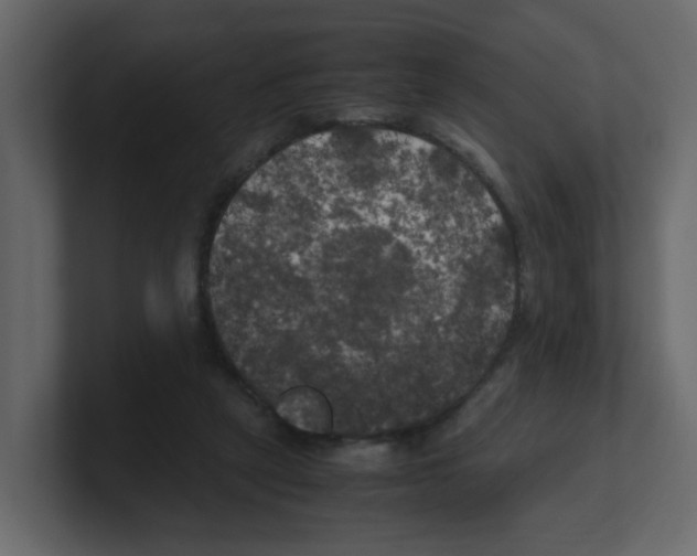 X0000100490257200807111128