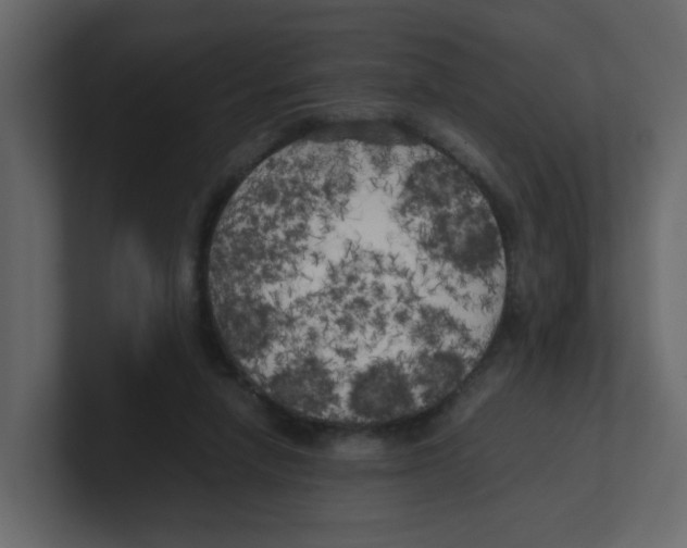 X0000100490258200807111129