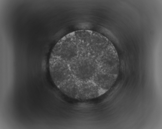 X0000100490259200807111129