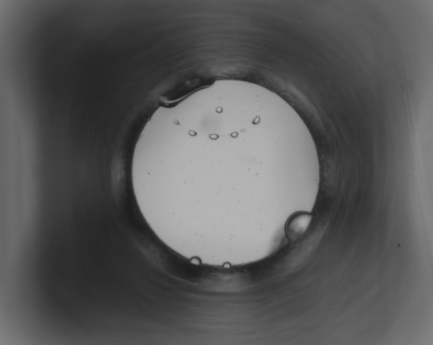 X0000100490260200807111129