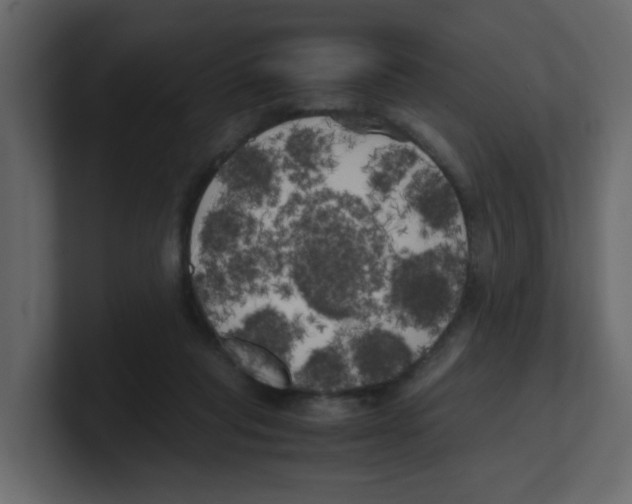 X0000100490261200807111129