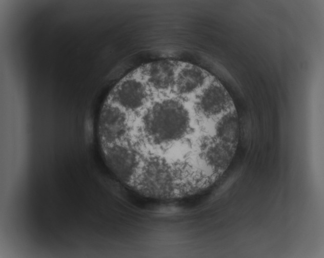 X0000100490262200807111129