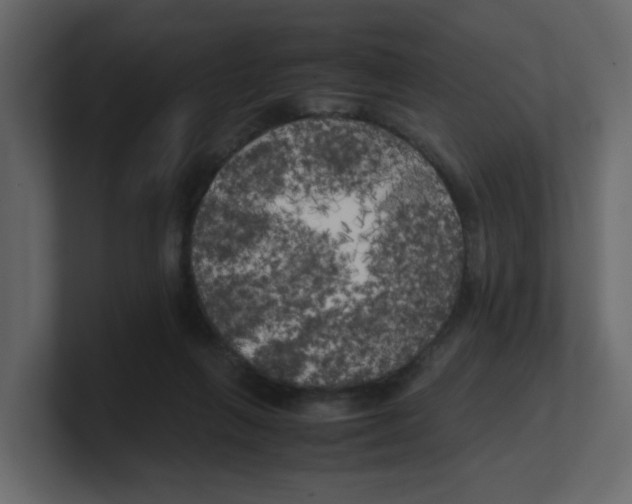 X0000100490263200807111129
