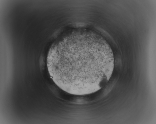 X0000100490264200807111129