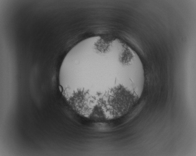 X0000100490265200807111129