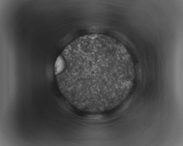 X0000100490266200807111129