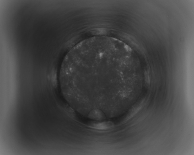 X0000100490267200807111129