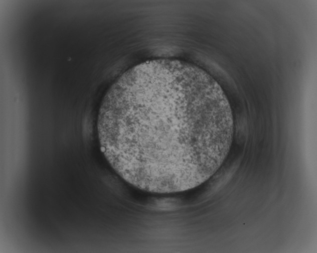 X0000100490268200807111129