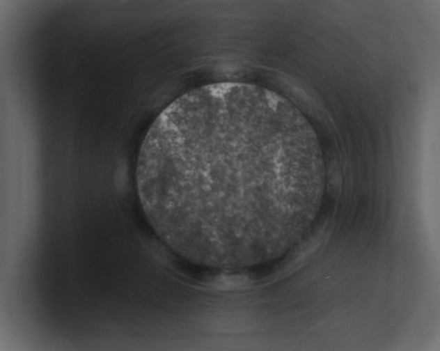 X0000100490270200807111129