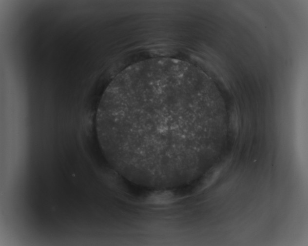X0000100490271200807111129