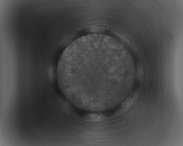 X0000100490272200807111129