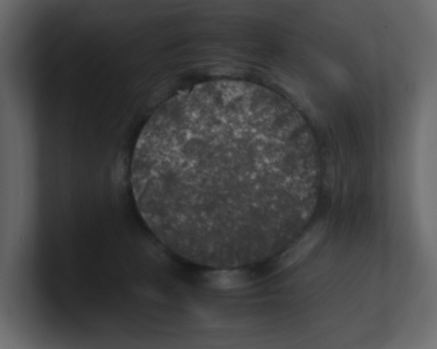 X0000100490273200807111129