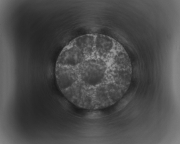 X0000100490274200807111129
