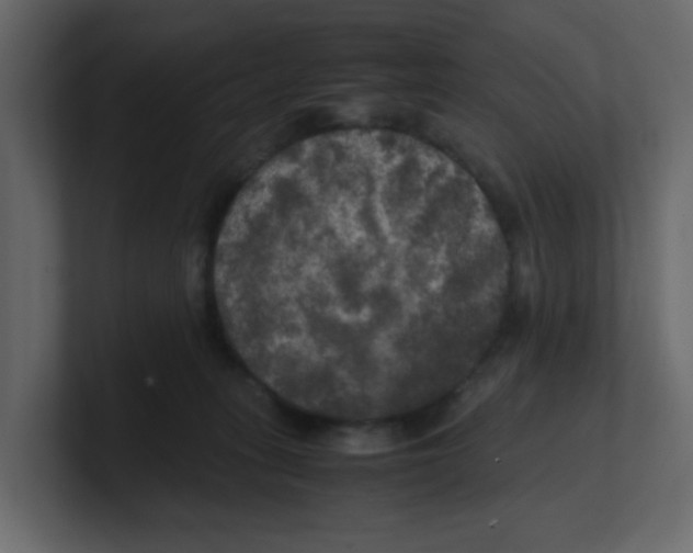 X0000100490275200807111129