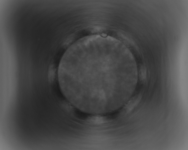 X0000100490276200807111129