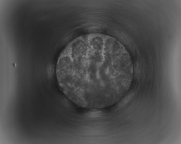 X0000100490278200807111129