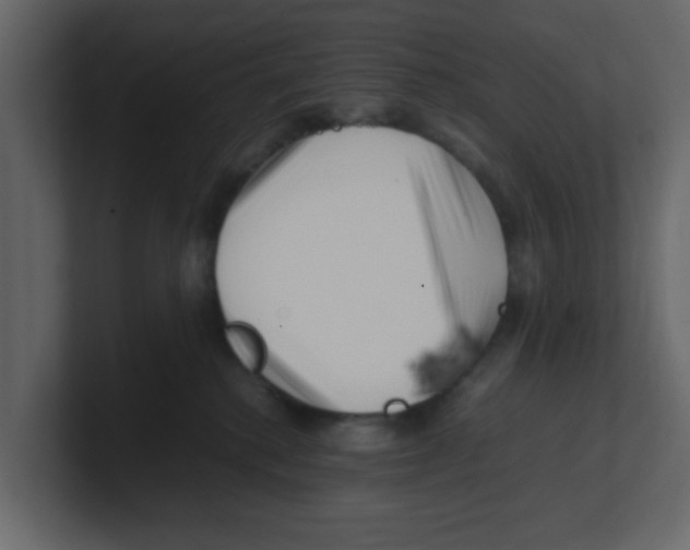 X0000100490280200807111129